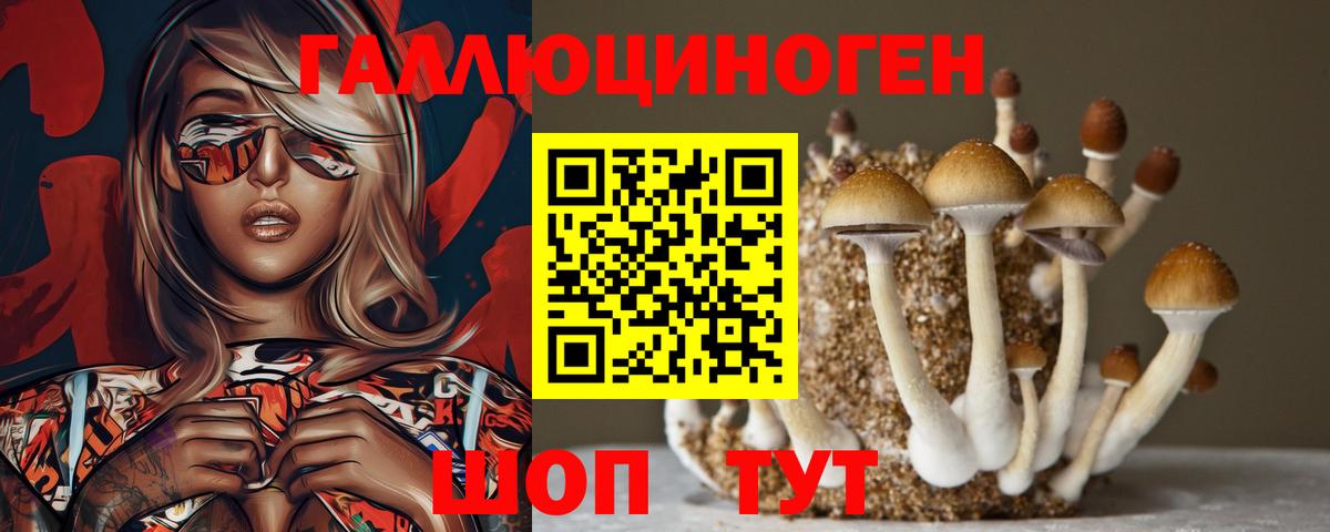 Кизилюрт  Псилоцибиновые грибы мухоморы  Вход с VPN  Галлюциногенные грибы Cubensis 